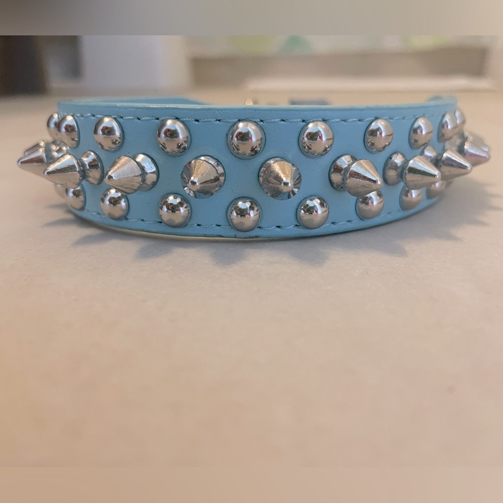 Spiked Dog Collar